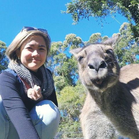 Port Stephens Day Tour With Dolphin Watching, Sandboarding & Australian Wildlife - Accommodation Bookings 12
