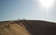 Port Stephens Day Tour With Dolphin Watching, Sandboarding & Australian Wildlife - thumb 14