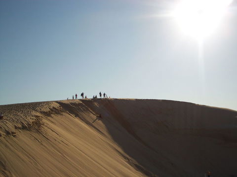 Port Stephens Day Tour With Dolphin Watching, Sandboarding & Australian Wildlife - Accommodation Bookings 14