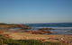Port Stephens Day Tour With Dolphin Watching, Sandboarding & Australian Wildlife - thumb 4