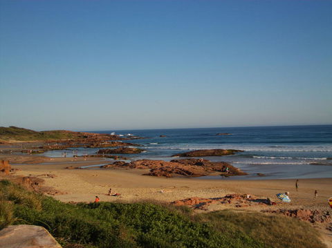 Port Stephens Day Tour With Dolphin Watching, Sandboarding & Australian Wildlife - Accommodation Bookings 4