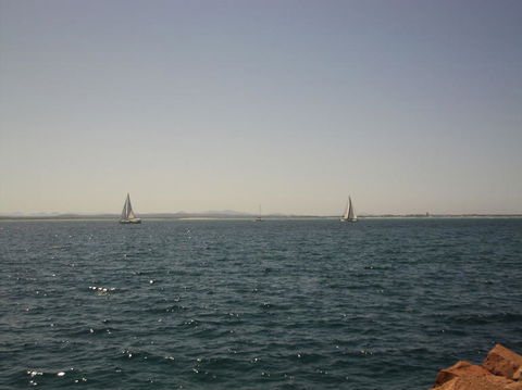Port Stephens Day Tour With Dolphin Watching, Sandboarding & Australian Wildlife - Accommodation Bookings 3
