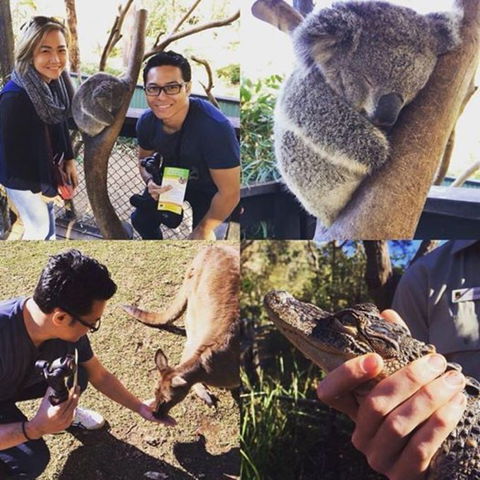 Port Stephens Day Tour With Dolphin Watching, Sandboarding & Australian Wildlife - Accommodation Bookings 11