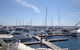 Port Stephens Day Tour With Dolphin Watching, Sandboarding & Australian Wildlife - thumb 24