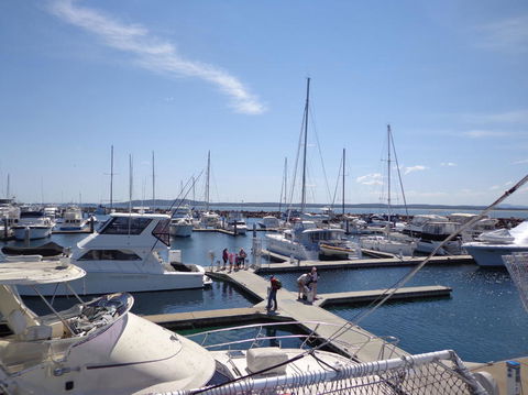 Port Stephens Day Tour With Dolphin Watching, Sandboarding & Australian Wildlife - Accommodation Bookings 24