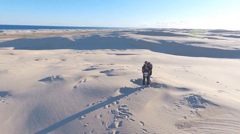 Port Stephens Day Tour With Dolphin Watching, Sandboarding & Australian Wildlife - Accommodation Bookings 10