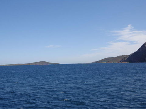 Port Stephens Day Tour With Dolphin Watching, Sandboarding & Australian Wildlife - Accommodation Bookings 23
