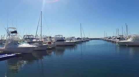 Port Stephens Day Tour With Dolphin Watching, Sandboarding & Australian Wildlife - Accommodation Bookings 9