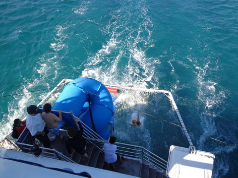 Port Stephens Day Tour With Dolphin Watching, Sandboarding & Australian Wildlife - Accommodation Bookings 22