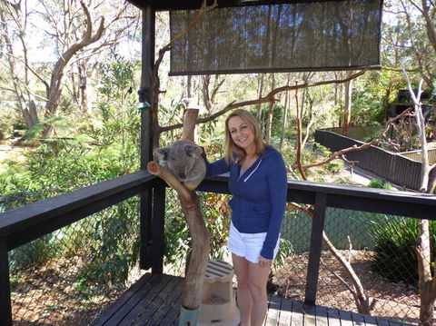 Port Stephens Day Tour With Dolphin Watching, Sandboarding & Australian Wildlife - Accommodation Bookings 25