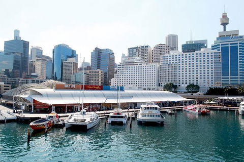 Sydney Attraction Pass: Darling Harbour Experience Ticket - Accommodation Bookings 0