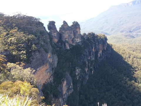 Blue Mountains Nature And Wildlife Day Tour From Sydney - Accommodation Bookings 8