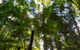 Blue Mountains Nature And Wildlife Day Tour From Sydney - thumb 1