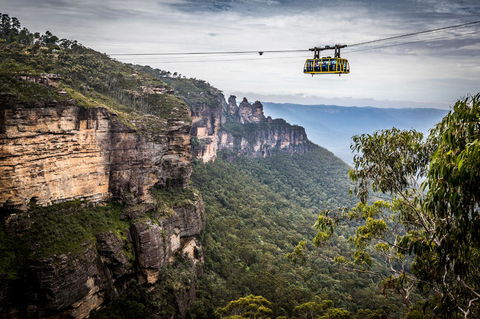 Blue Mountains Nature And Wildlife Day Tour From Sydney - Accommodation Bookings 19