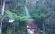 Blue Mountains Nature And Wildlife Day Tour From Sydney - thumb 14