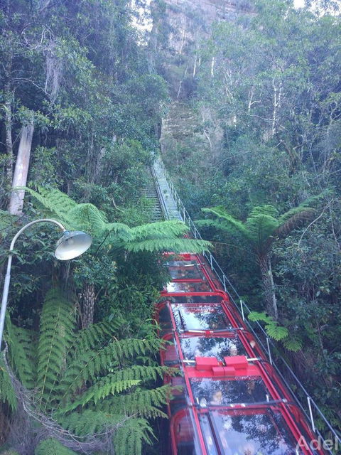 Blue Mountains Nature And Wildlife Day Tour From Sydney - Accommodation Bookings 14