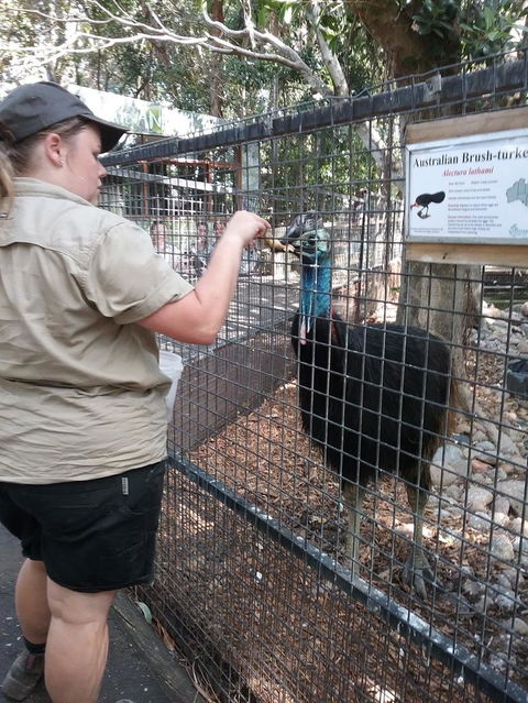 Blue Mountains Nature And Wildlife Day Tour From Sydney - Accommodation Bookings 4