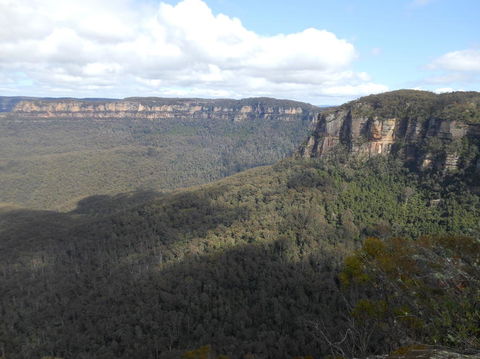 Blue Mountains Nature And Wildlife Day Tour From Sydney - Accommodation Bookings 12