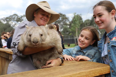 Blue Mountains Nature And Wildlife Day Tour From Sydney - Accommodation Bookings 39