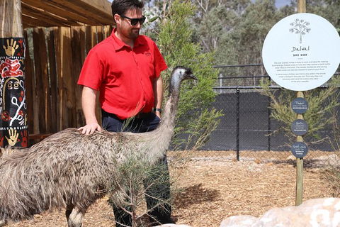 Blue Mountains Nature And Wildlife Day Tour From Sydney - Accommodation Bookings 29
