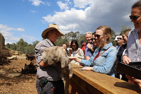 Blue Mountains Nature And Wildlife Day Tour From Sydney - Accommodation Bookings 35