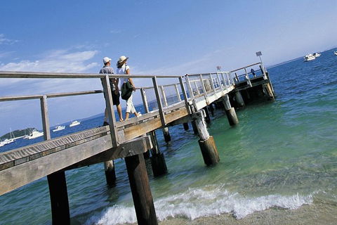 Sydney Private Day Tours - Central Coast, Beaches, Plus Wildlife & Reptile Park - Accommodation Bookings 1