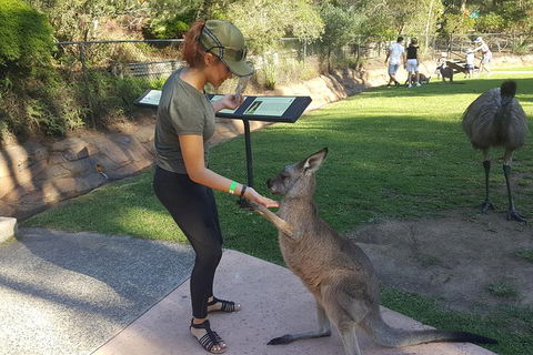 Sydney Private Day Tours - Central Coast, Beaches, Plus Wildlife & Reptile Park - Accommodation Bookings 0