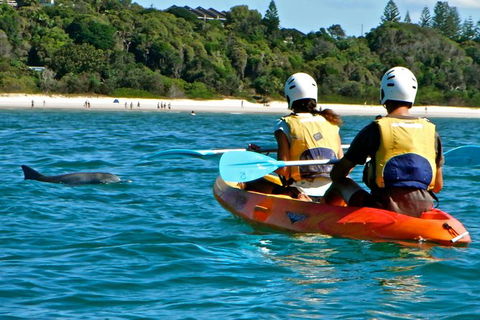 The Byron Bay Sea Kayak Tour - Accommodation Bookings 1