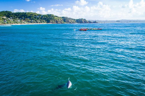 The Byron Bay Sea Kayak Tour - Accommodation Bookings 8