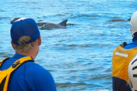 The Byron Bay Sea Kayak Tour - Accommodation Bookings 11