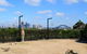 Sydney Taronga Zoo General Entry Ticket - thumb 3