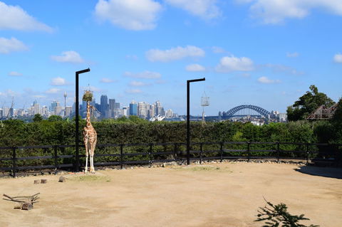 Sydney Taronga Zoo General Entry Ticket - Accommodation Bookings 3