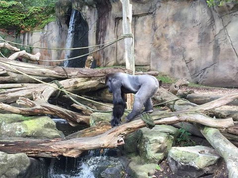 Sydney Taronga Zoo General Entry Ticket - Accommodation Bookings 10