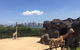 Sydney Taronga Zoo General Entry Ticket - thumb 7