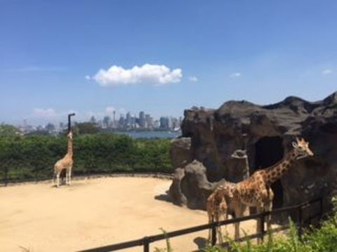 Sydney Taronga Zoo General Entry Ticket - Accommodation Bookings 7