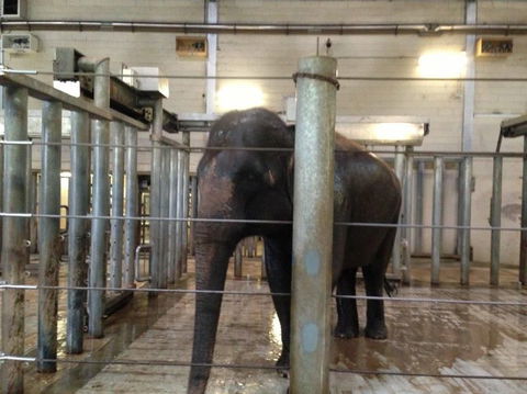 Sydney Taronga Zoo General Entry Ticket - Accommodation Bookings 17