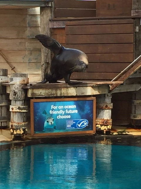 Sydney Taronga Zoo General Entry Ticket - Accommodation Bookings 9