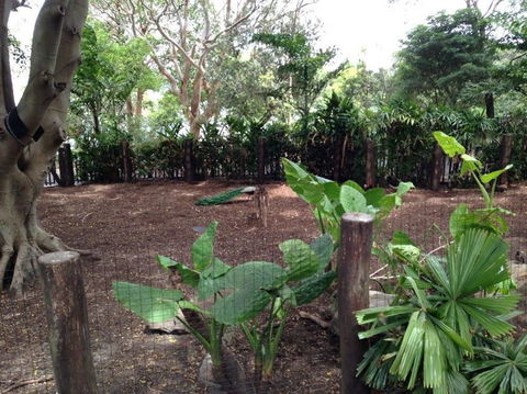 Sydney Taronga Zoo General Entry Ticket - Accommodation Bookings 19