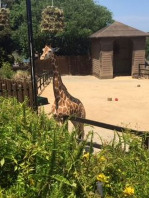 Sydney Taronga Zoo General Entry Ticket - Accommodation Bookings 6