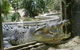 Sydney Taronga Zoo General Entry Ticket - thumb 15