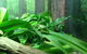 Sydney Taronga Zoo General Entry Ticket - thumb 24