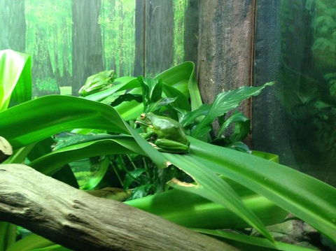 Sydney Taronga Zoo General Entry Ticket - Accommodation Bookings 24