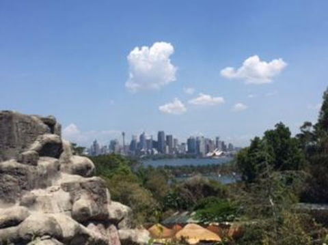 Sydney Taronga Zoo General Entry Ticket - Accommodation Bookings 5