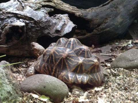 Sydney Taronga Zoo General Entry Ticket - Accommodation Bookings 21