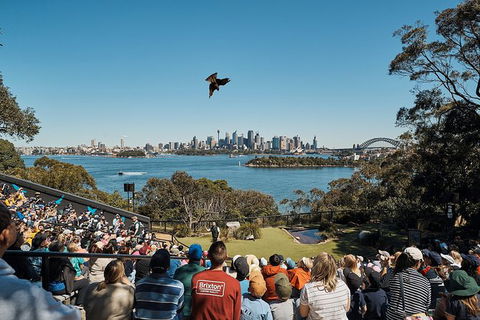 Sydney Taronga Zoo General Entry Ticket - Accommodation Bookings 27