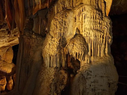 Jenolan Caves And Blue Mountains Tour From Sydney - Accommodation Bookings 9