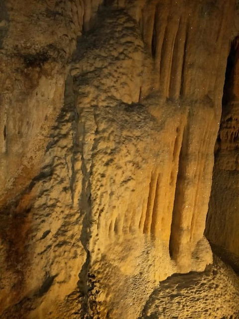 Jenolan Caves And Blue Mountains Tour From Sydney - Accommodation Bookings 7