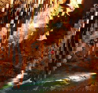 Jenolan Caves and Blue Mountains Tour from Sydney - Accommodation Bookings
