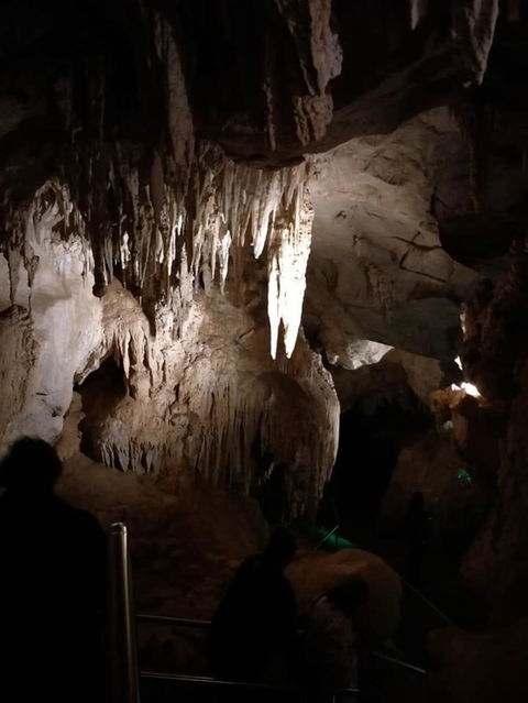 Jenolan Caves And Blue Mountains Tour From Sydney - Accommodation Bookings 10