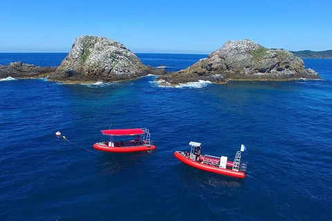 3-Hour Sea Turtle Snorkeling Experience In Byron Bay - Accommodation Bookings 8